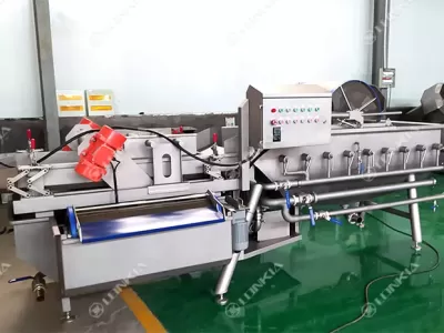 Leafy Vegetable Washing Machine: What Types of Vegetables Does Process?