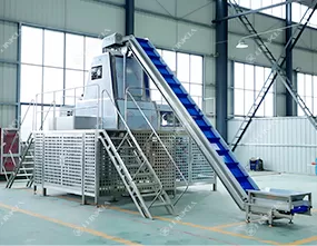 Tomato Dicing Processing Line