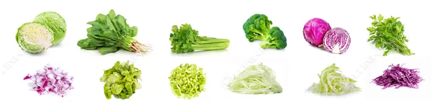 Leafy Vegetable Cutting Machine material