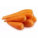 Carrot