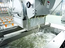 Pre-Cut Vegetable Processing Line