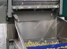 Garlic Processing Line