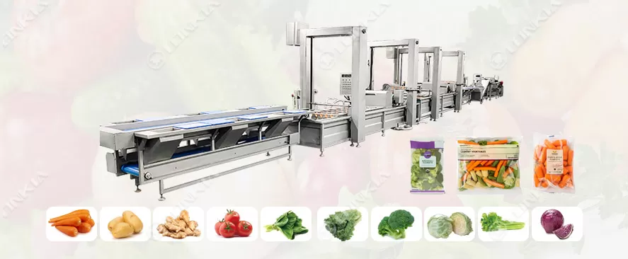 Pre-Cut Vegetable Processing Line Flow Chart