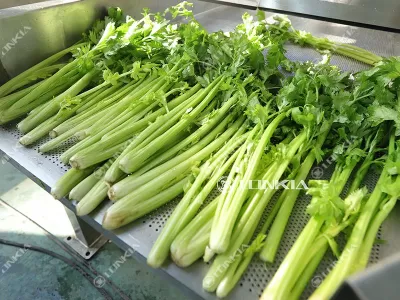 How to Efficiently Wash Large Batches of Parsley?