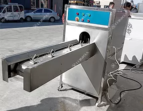 Onion Top and Tail Cutter Machine