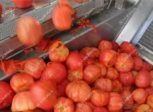 Tomato Dicing Processing Line