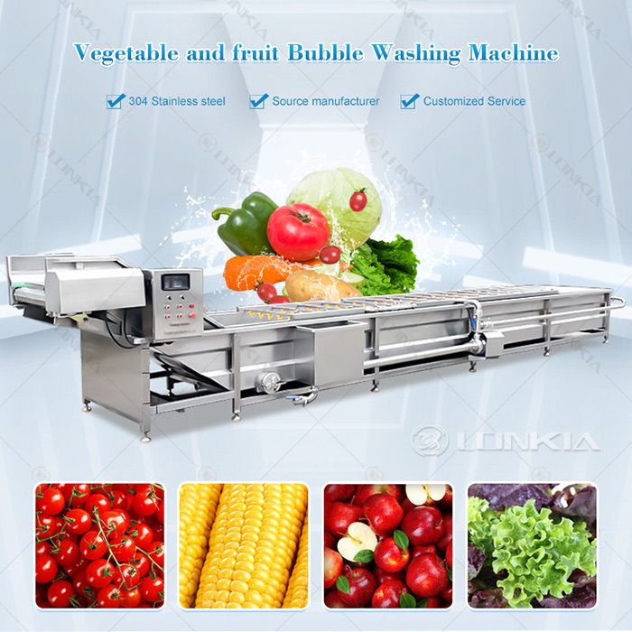 Vegetable Washing Machine3