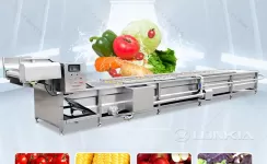 How a Vegetable Washing Machine with Ozone System Ensures Maximum Food Safety