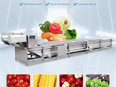 How a Vegetable Washing Machine with Ozone System Ensures Maximum Food Safety