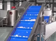 Garlic Processing Line