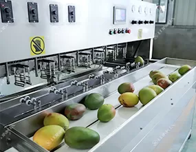 Mango Peeler Machine