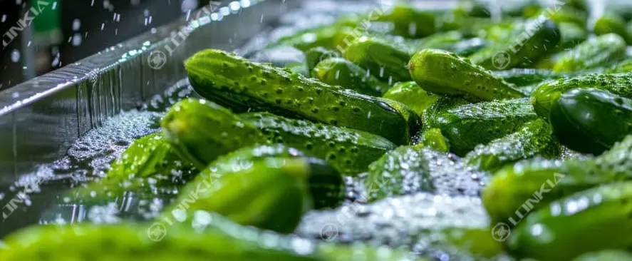 Cucumber Canning Processing Line Flow Chart