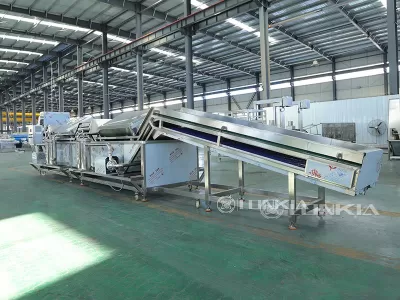 How Vegetable and Fruit Cleaner Machine Improves Food Production Line Efficiency?