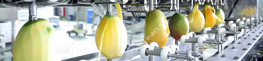 Mango Peeler Machine material