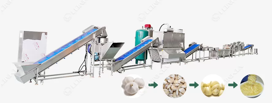 Garlic Processing Line Flow Chart