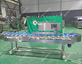 Tipping Weight Grading Machine