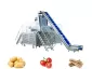 Potato Tomato Steam Peeling Machine