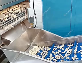 Industrial Garlic Peeling Machine