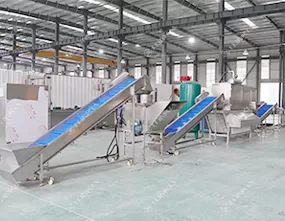 Garlic Processing Line