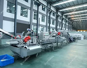 Salad Processing Line