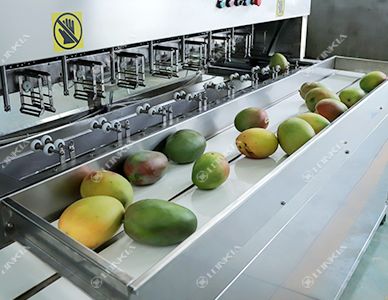 Mango Peeler Machine