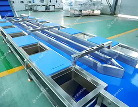 Pre-Cut Vegetable Processing Line