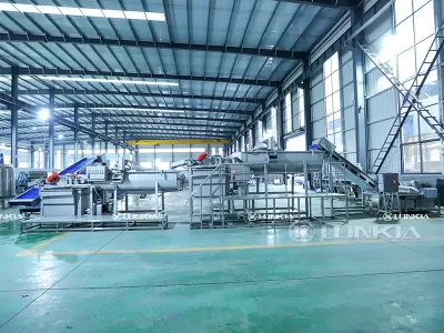 Why Investing in Leafy Vegetable Processing Machine Is Worthwhile?