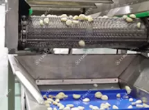 Garlic Processing Line