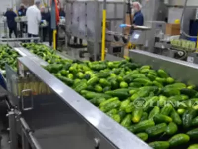 Cucumber Canning Processing Line