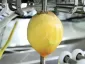 Mango Peeler Machine