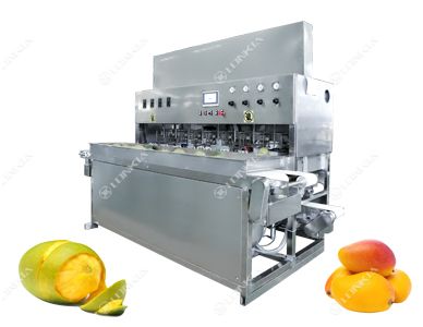 Mango Peeler Machine