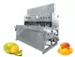 Mango Peeler Machine