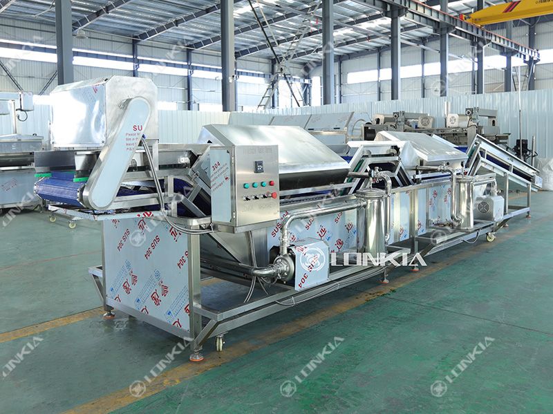 fruit vegetable washer machine