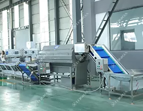 Pre-Cut Vegetable Processing Line