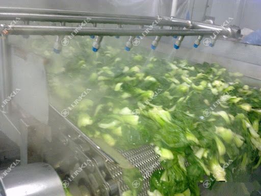 Blanching process