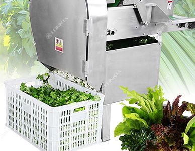 Leafy Vegetable Cutting Machine