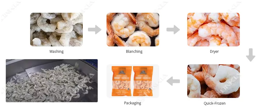 Frozen Shrimp Processing Line Flow Chart