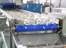 Garlic Processing Line