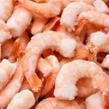 Shrimp