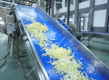 Salad Processing Line