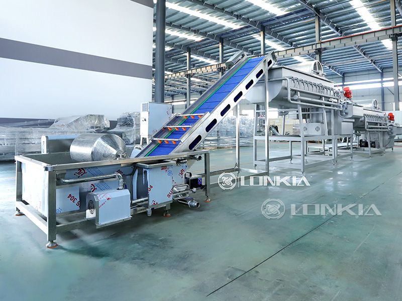 Vegetable Salad Processing Line