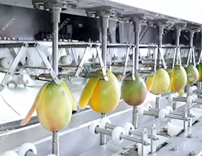 Mango Peeler Machine