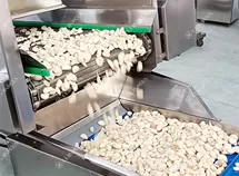 Garlic Processing Line