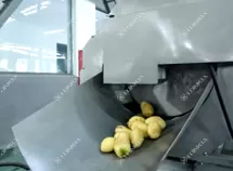 Pre-Cut Vegetable Processing Line