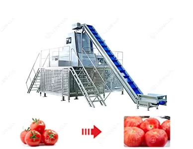 Potato Tomato Steam Peeling Machine