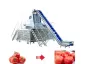 Potato Tomato Steam Peeling Machine