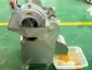 Vegetable Dicing Machine