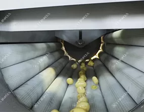 Potato Ginger Carrot Peeling Machine