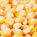 Corn Kernels