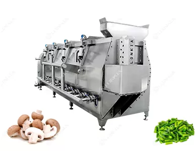 Spiral Blanching Machine